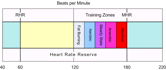 Resting Heart Rate (RHR) and why it is important? 