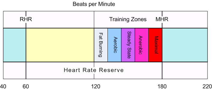 Target Heart Rate Calculator and BPM Chart